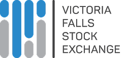 VFEX Logo
